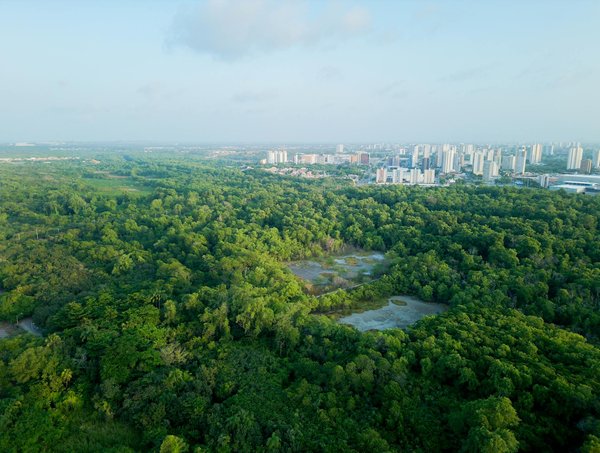 Les bouleversements des écosystèmes par l'agriculture intensive: une analyse approfondie des habitats naturels