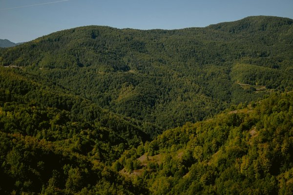 Options de Carrière Innovantes pour les Médecins de Famille